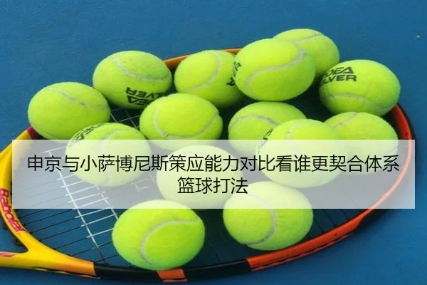 申京与小萨博尼斯策应能力对比看谁更契合体系篮球打法
